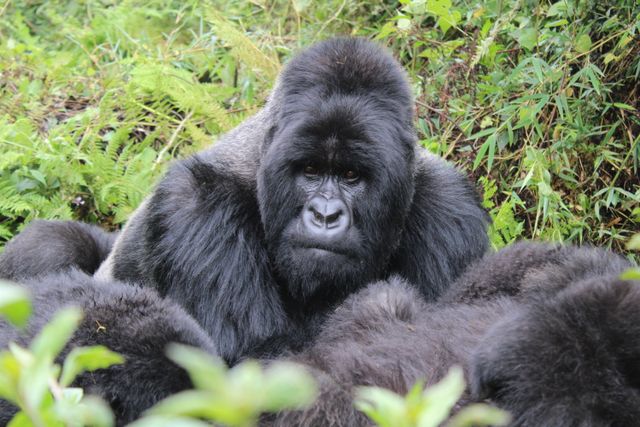 Three Countries, One Ocean: Uganda, Kenya & Tanzania to Seychelles